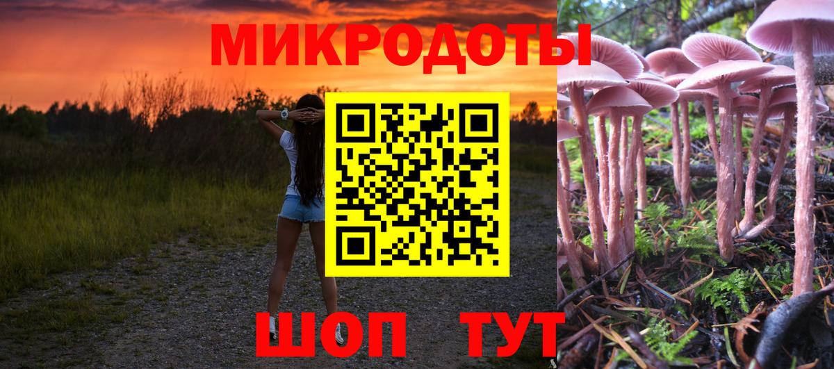 Галлюциногенные грибы Psilocybe  Галлюциногенные грибы мухоморы  Вход с VPN  Серпухов 